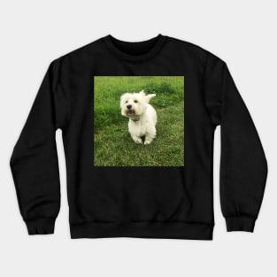 Westie Crewneck Sweatshirt